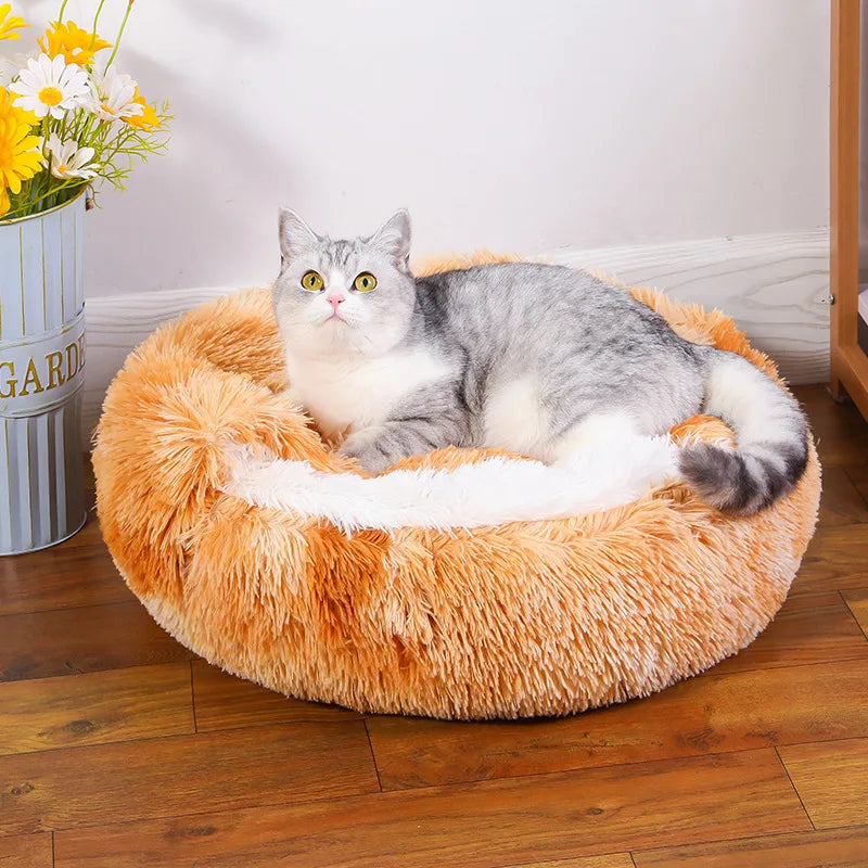 Soft cat bed