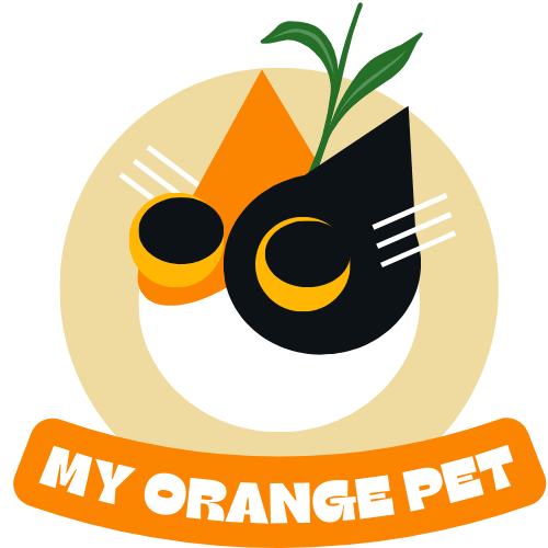 my orange pet